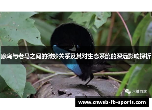 魔鸟与老马之间的微妙关系及其对生态系统的深远影响探析 魔鸟与老马之间的微妙关系及其对生态系统的深远影响探析